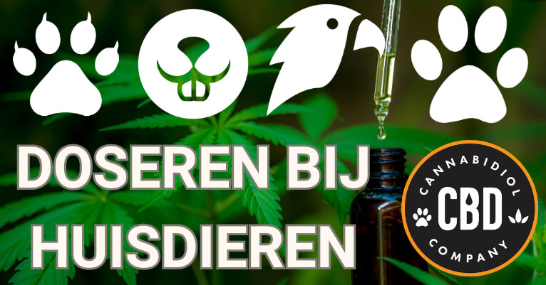 cbd doseren huisdieren