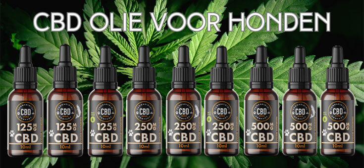 welke cbd voor honden