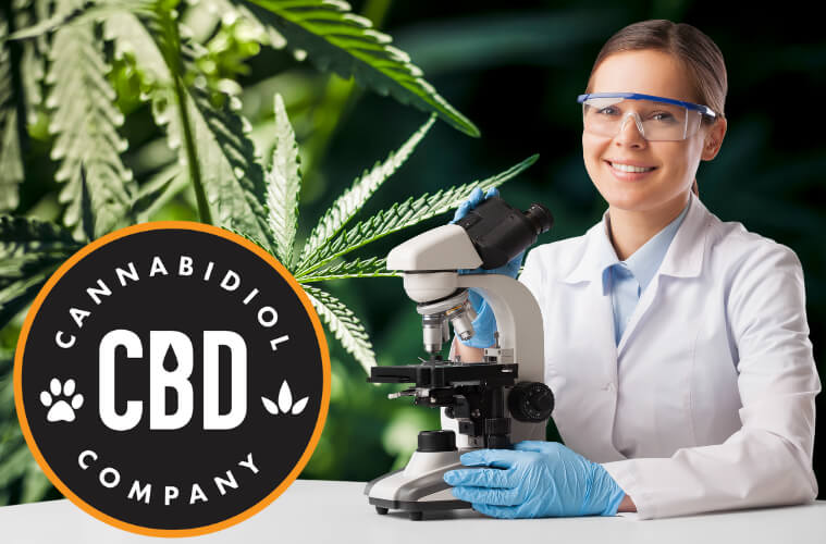 over cbd voor huisdieren