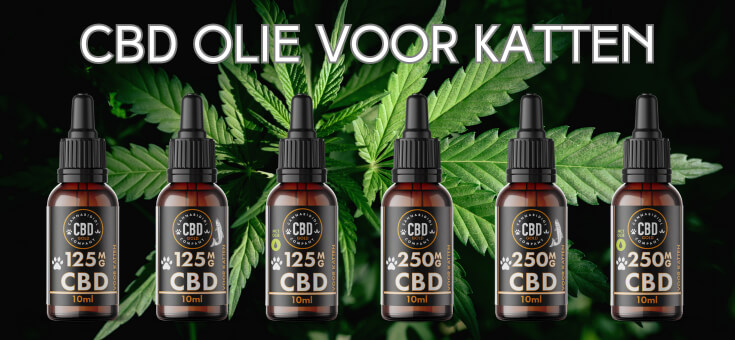 welke cbd voor katten