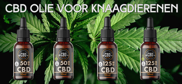 welke cbd voor knaagdieren
