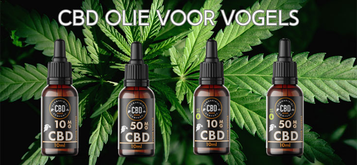 welke cbd voor vogels